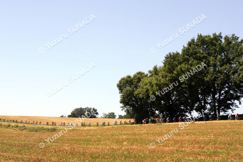 Peloton007p.jpg